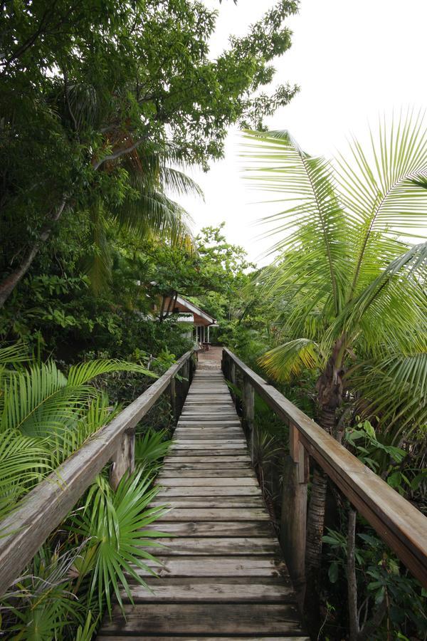 Turtle Bay Eco Resort Cayos Cochinos Esterno foto